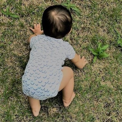 中津川 はなの湖オートキャンプ場 は岐阜の子連れキャンパーにおすすめ キャンプクエスト