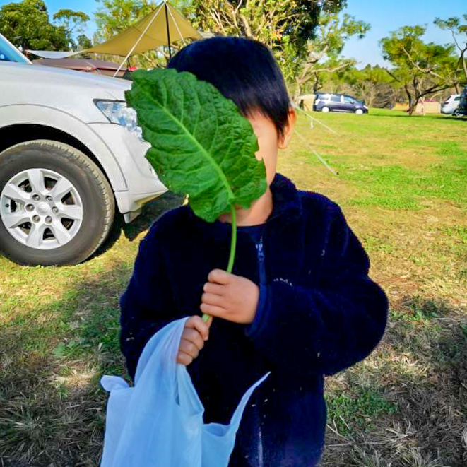 森のまきばオートキャンプ場は子どもの遊び場がいっぱいで子連れファミリーにおすすめ キャンプクエスト