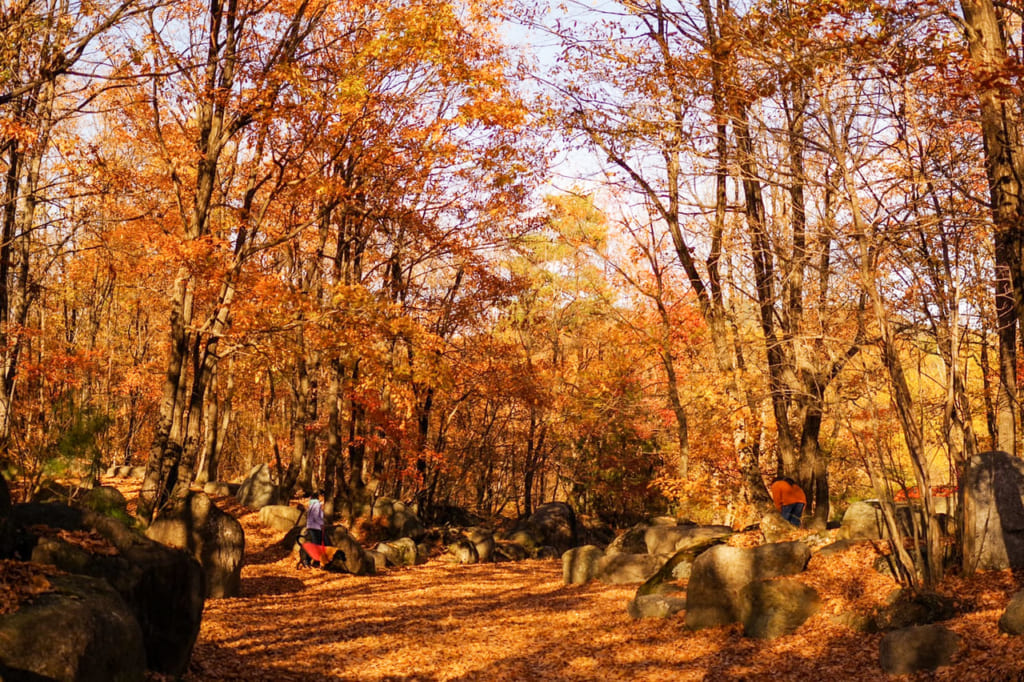 紅葉が映える秋が狙い目 日本庭園のように美しい南アルプス三景園オートキャンプ場 キャンプクエスト