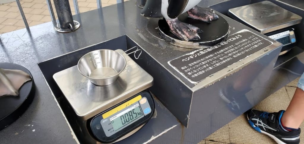 シェラカップの重さを測る