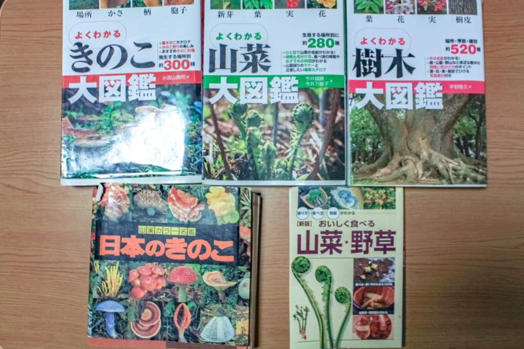 アウトドアのお供に オススメの山菜 植物 キノコ図鑑 キャンプ