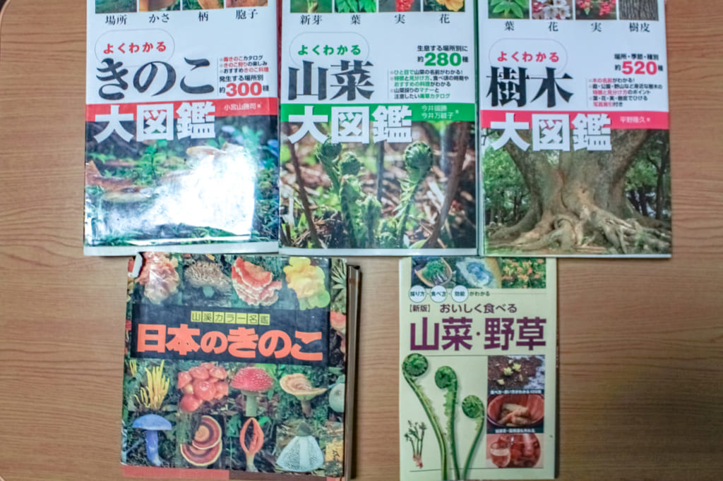 【アウトドアのお供に】オススメの山菜・植物・キノコ図鑑! 【アウトドアのお供に】オススメの山菜・植物・キノコ図鑑!