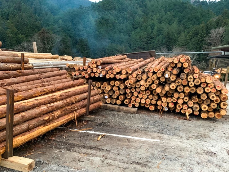 キャンプ場に積まれた大量の材木