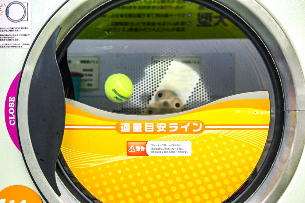 乾燥機の中で回るテニスボール
