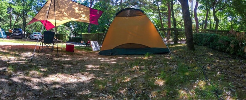 福岡ローマン渓谷オートキャンプ場のテントサイト