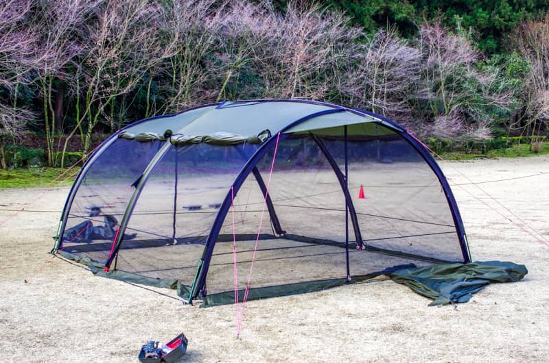 全面フルメッシュになる