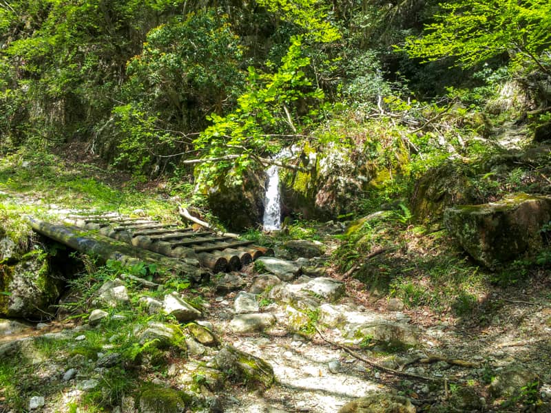 小さな滝と木製の橋。自然と人間の共生を感じる。