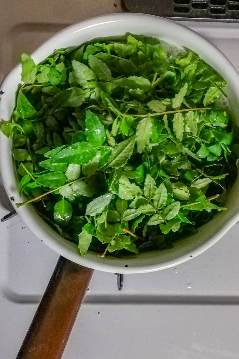 野草・山菜の下処理とおすすめレシピ (22)