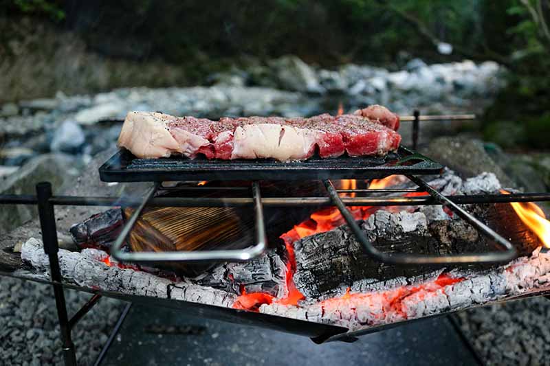 焚き火台で焼くステーキ肉