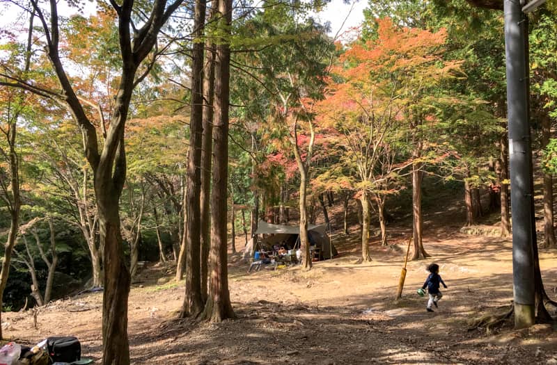 福岡の 昭和の森 は全キャンパー対応型 キャンプ好きなら行くしかない キャンプクエスト