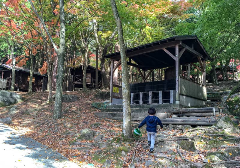 福岡の 昭和の森 は全キャンパー対応型 キャンプ好きなら行くしかない キャンプクエスト