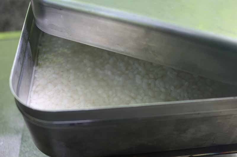 憧れ エスビットポケットストーブとラージメスティンの自動炊飯に失敗した話 キャンプクエスト