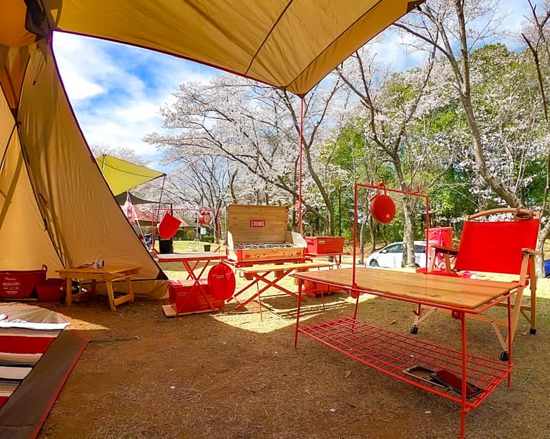 すっきりおしゃれに見せるサイト作りのコツは サイト配色の統一 にあり キャンプクエスト