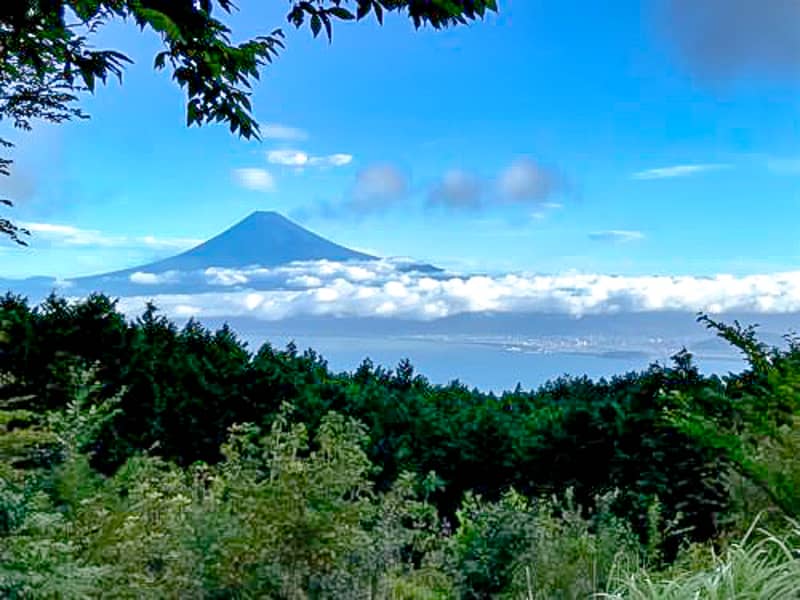 富士山・相模湾・夜景・星空が一度に楽しめる「だるま山高原キャンプ場」に行ってきた！