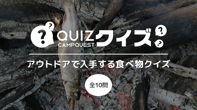 サバイバルで食料を調達しろ アウトドアで入手する食べ物クイズ キャンプクエスト サバイバルで食料を調達しろ アウトドアで入手する食べ物クイズ キャンプクエスト