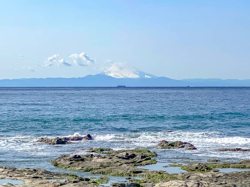 人生一度は行くべき お台場海浜庭園キャンプ場で忘れられない絶景と強風を楽しもう キャンプクエスト