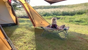犬とのキャンプをより快適に 王道から意外な物まで便利グッズをまとめて紹介します キャンプクエスト