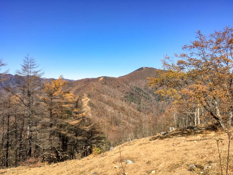 東京 レベルアップに最適 都内最高峰 雲取山に行ってきた キャンプクエスト