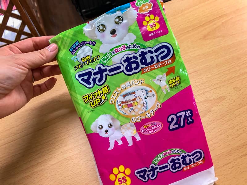 犬とのキャンプをより快適に 王道から意外な物まで便利グッズをまとめて紹介します キャンプクエスト