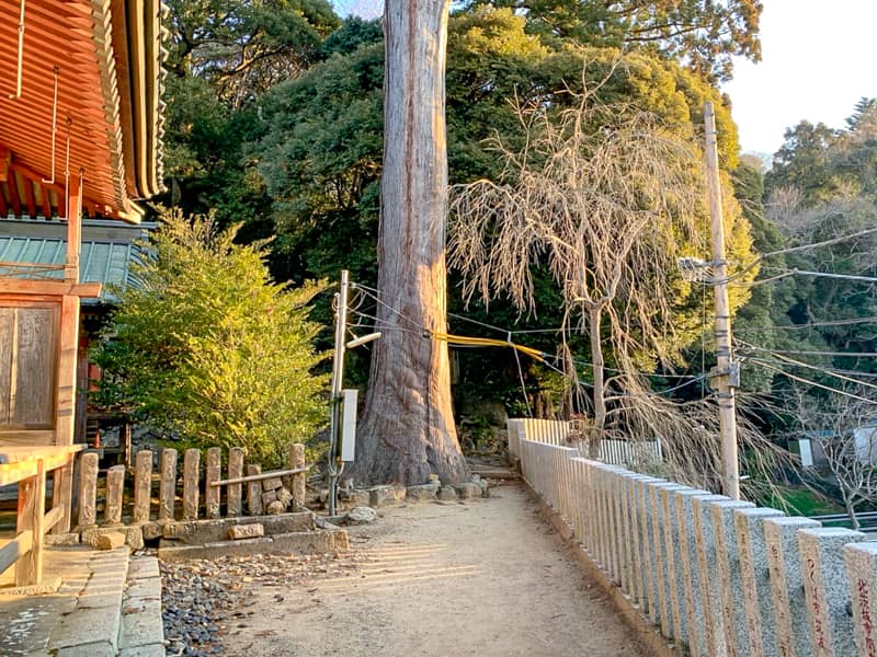 2.筑波山神社拝殿を正面に右側の通路を進みます
