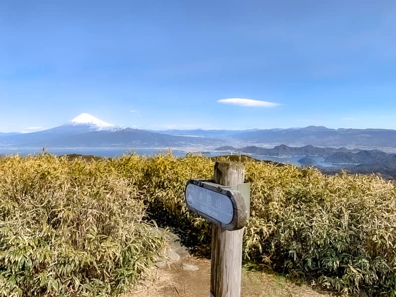 達磨山山頂の景色は本当に絶景です