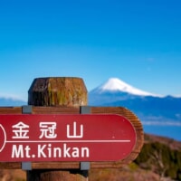 たった15分で富士山の絶景が拝める「金冠山」山登りが苦手な方にこそオススメ