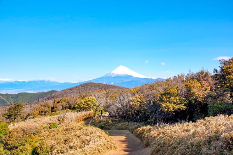 富士山と稜線が美しい山です