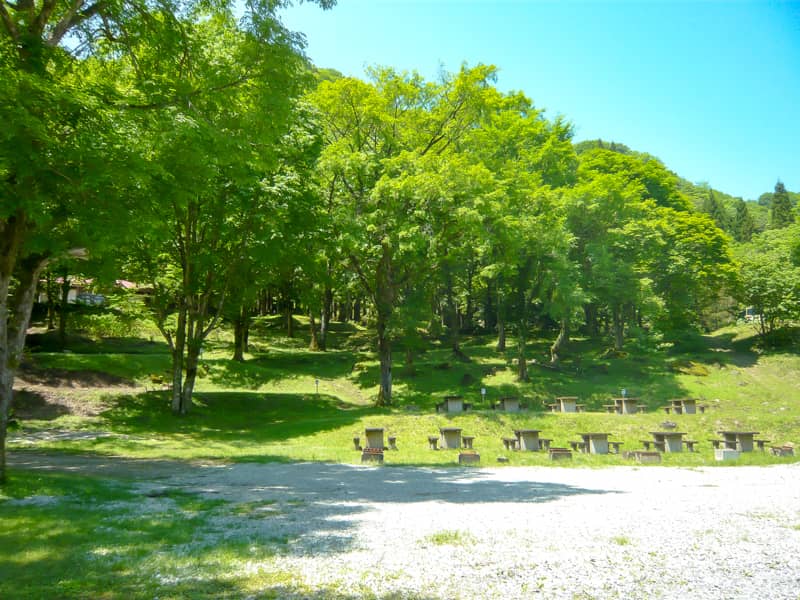 兵庫県のグリーンパークハチ北キャンプ場で自然いっぱいの森林浴キャンプレビュー キャンプクエスト