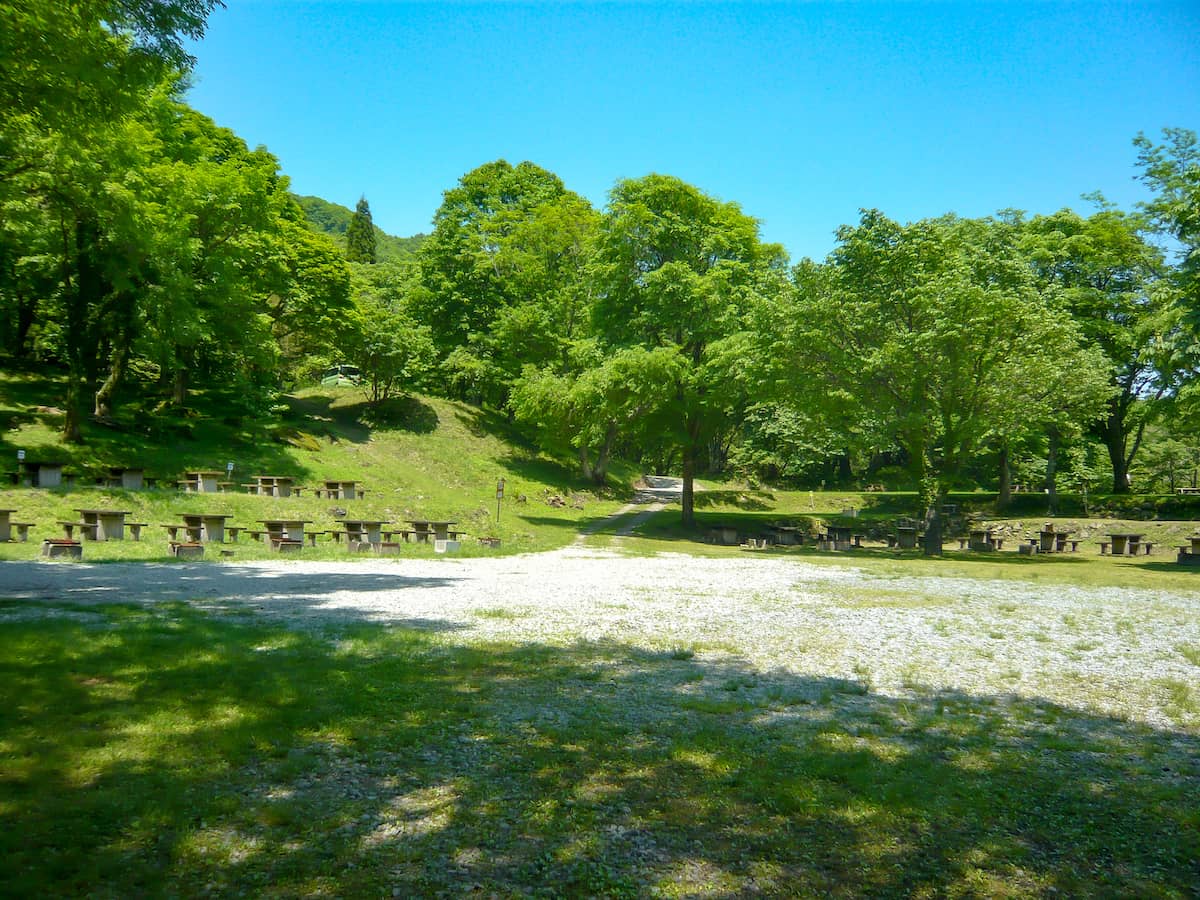 兵庫県のグリーンパークハチ北キャンプ場で自然いっぱいの森林浴キャンプレビュー