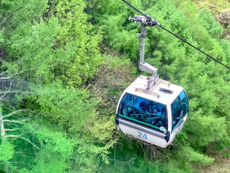 ゴンドラで登れる「入笠山」は花が美しいファミリーハイキングにオススメの山です