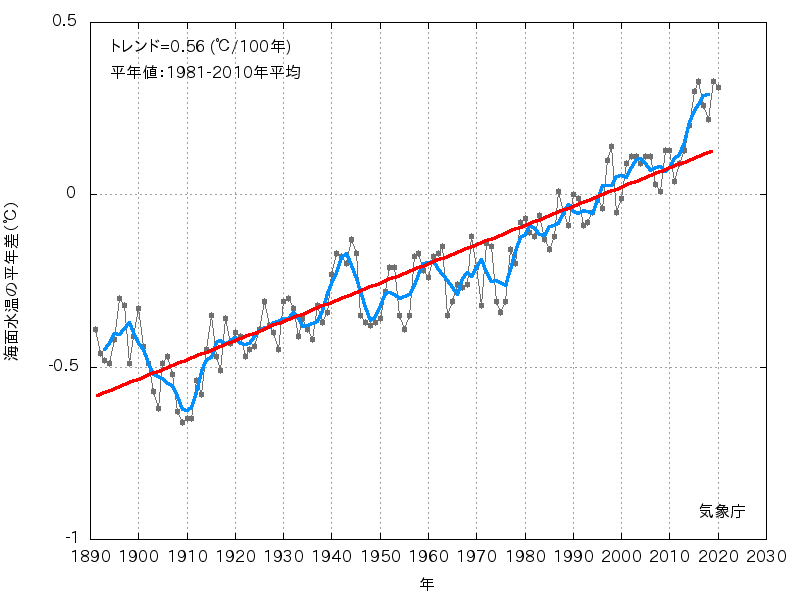 海面水温の長期変化傾向