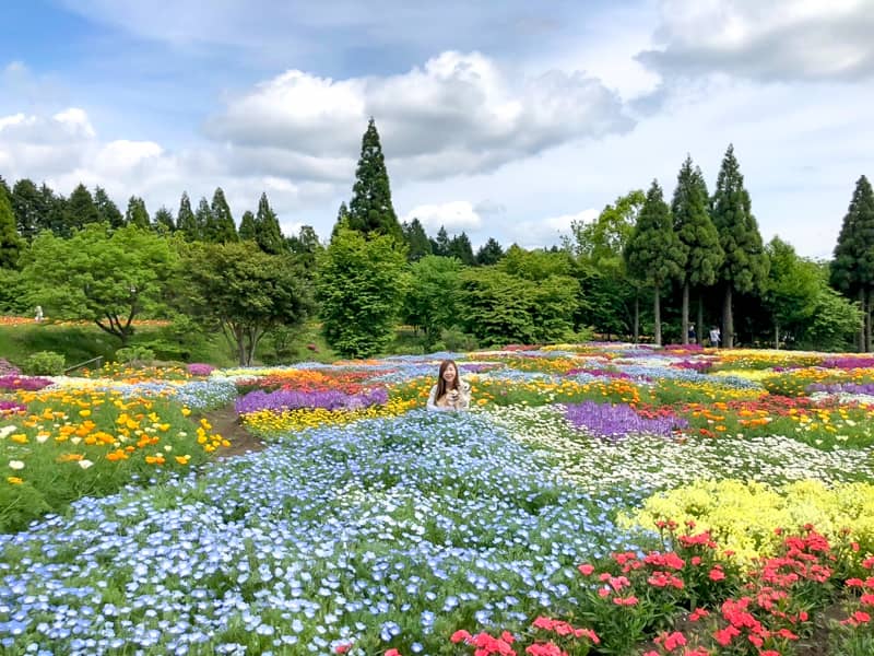 九州の人気観光スポット くじゅう花公園 にオープンしたオートキャンプ場に行ってきました キャンプクエスト