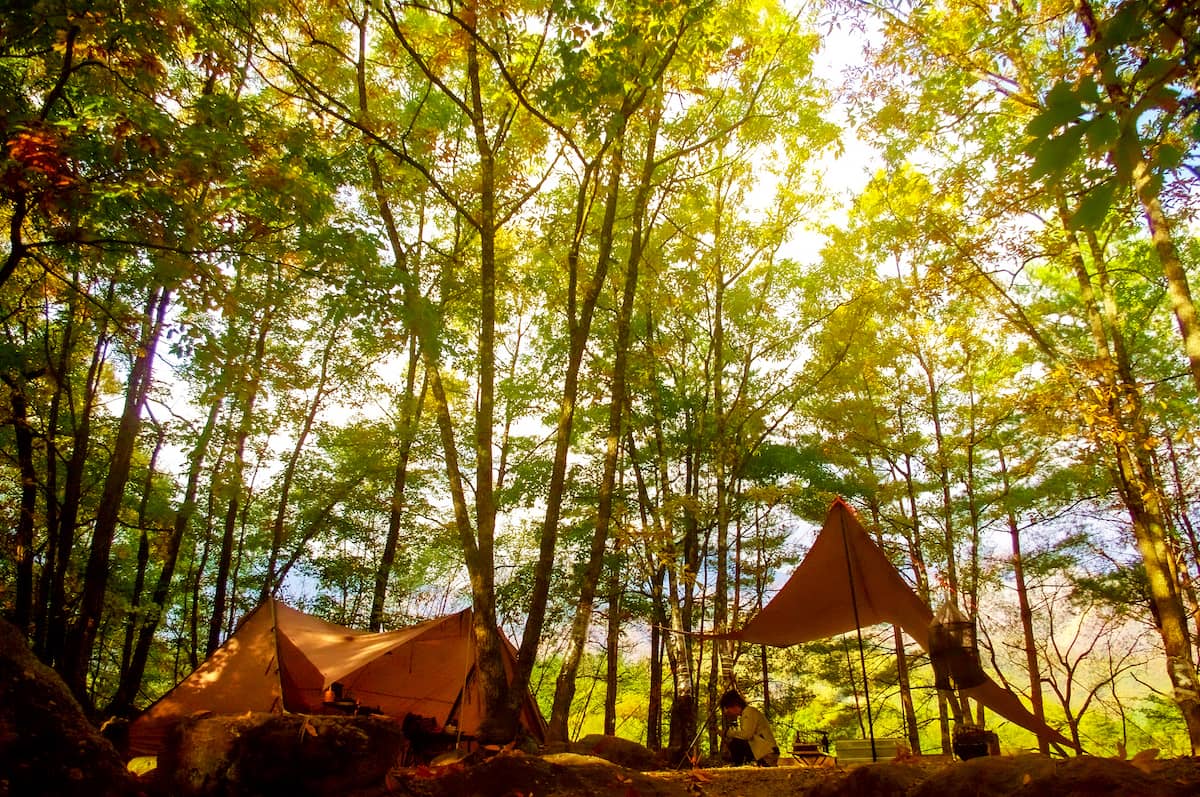 関東近郊で静かなキャンプを楽しめるプライベート感が抜群なキャンプ場10選 キャンプクエスト