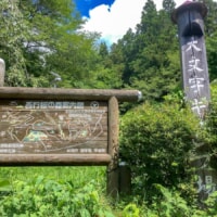 岩手県平泉町の格安キャンプ場「大文字キャンプ場」は森と一体化できる自然豊かな場所でした
