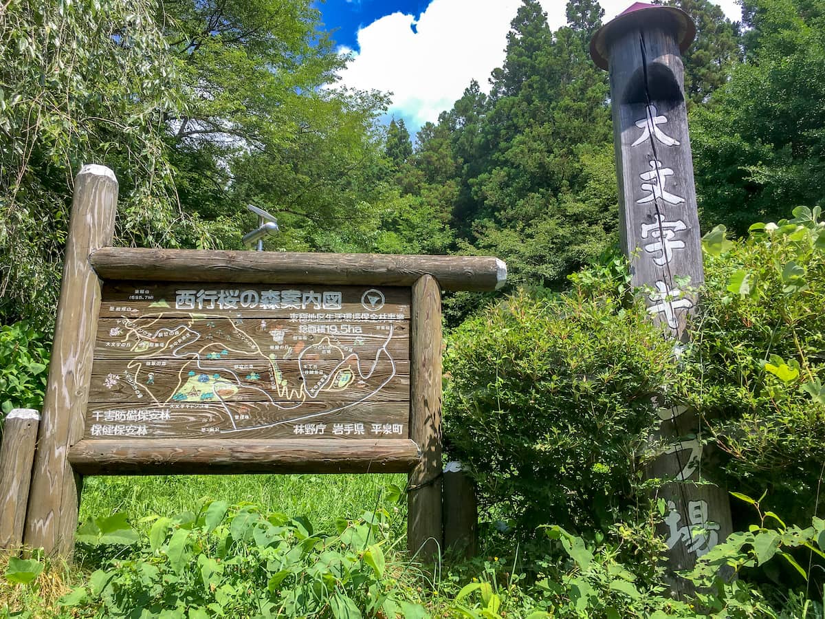 岩手県平泉町の格安キャンプ場「大文字キャンプ場」は森と一体化できる自然豊かな場所でした