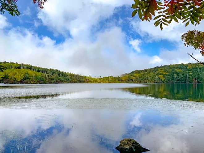 「白駒池畔に建つ唯一の宿」の謳い文句通り、本当に目の前が白駒池です