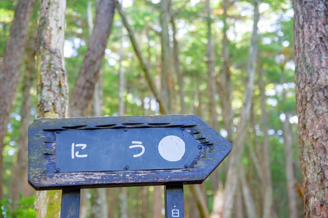 にゅう単体のピストン山行は標高差も少なく