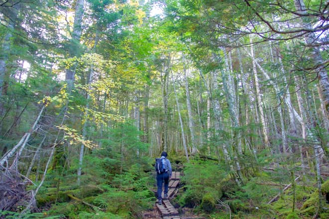 にゅう単体登山であればビギナーでも楽々