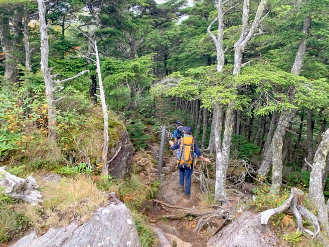 にゅう山頂→中山山頂