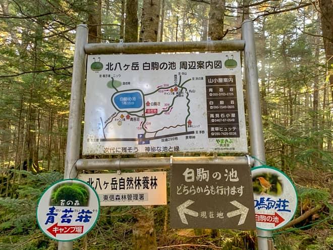 かわいい名前の山 にゅう の周回ルートは絶景だらけ 北八ヶ岳の魅力をフルに満喫できます キャンプクエスト