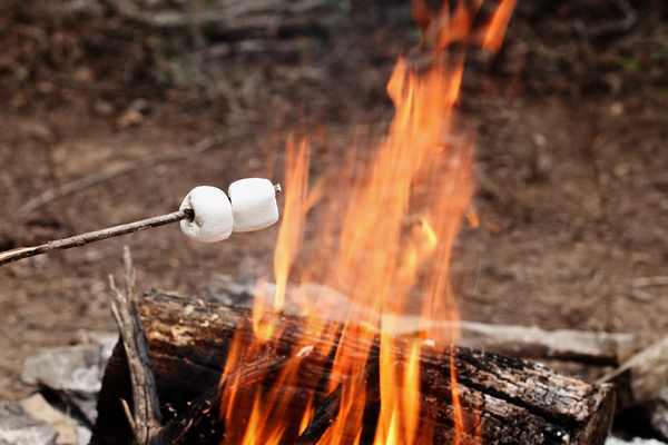 グビ姉_ココア酒_6