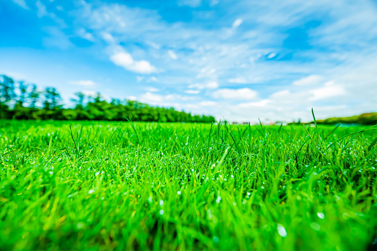 グランルージュ-夕日ヶ浦_16