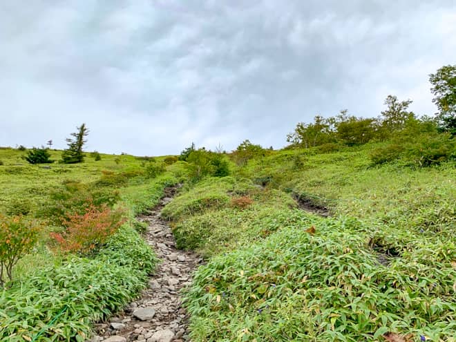 ザレ場のきつい登りから山頂へ