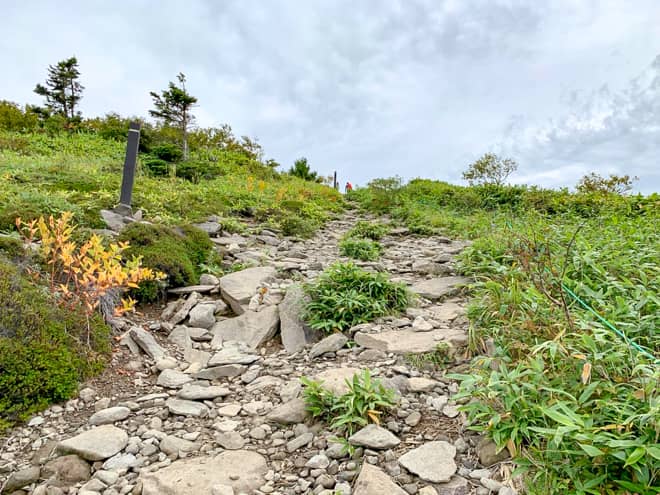 ラストスパートは、更に急な登りになった気がします