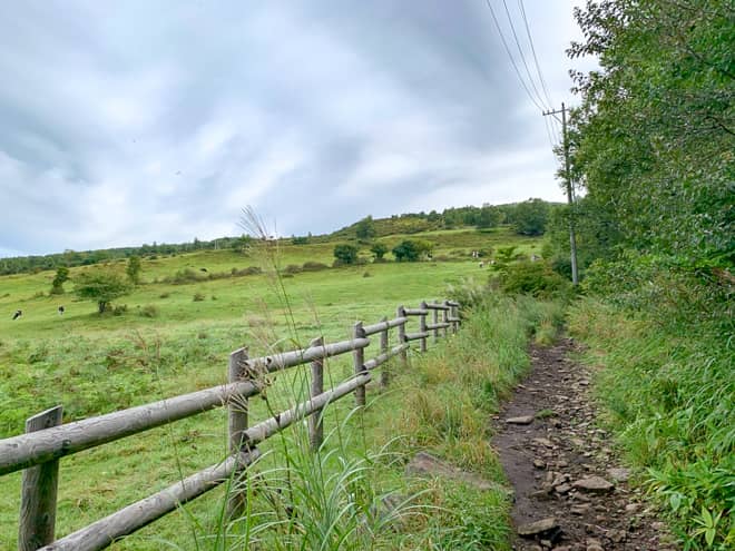 一見のどかで開放的な道のりに見えるのですが