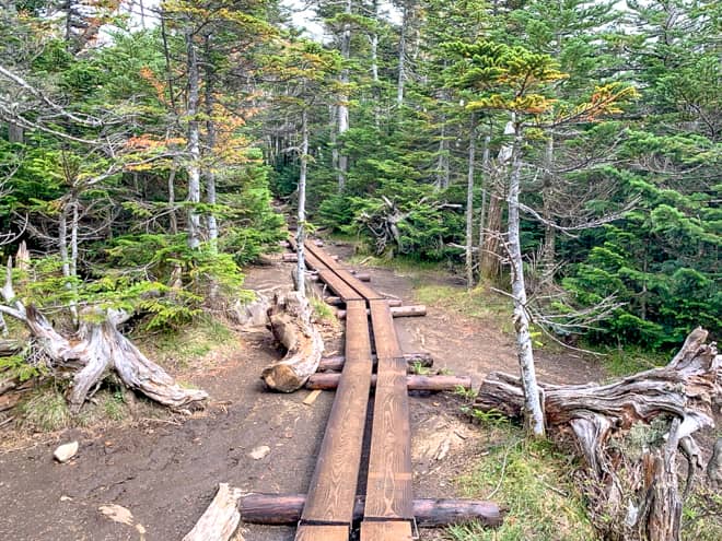 中山展望台→おこじょの森