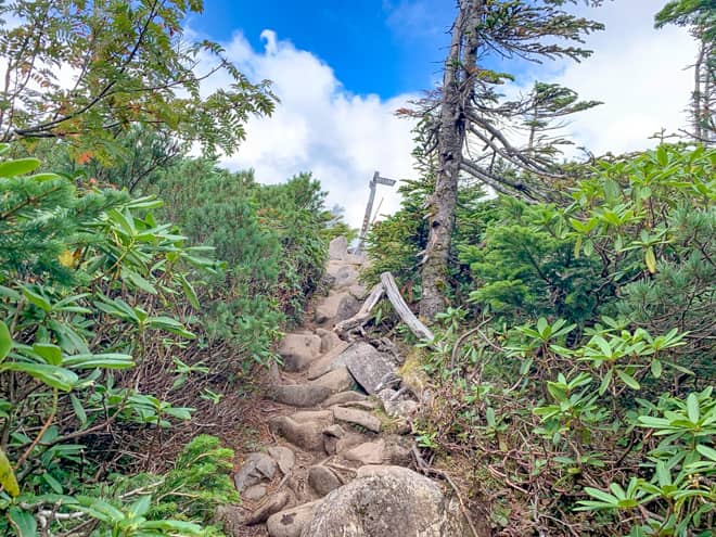 中山山頂→中山展望台