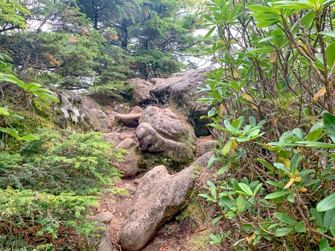 中山山頂は標高2486メートルと、にゅう山頂よりも標高が高いので