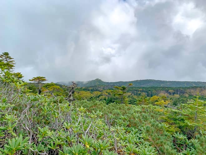 中山山頂手前の開けた場所からは、にゅうを望めます