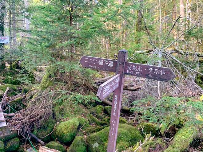 再び分岐に到着です。右へ進むと高見岩へ行くことが出来るようです